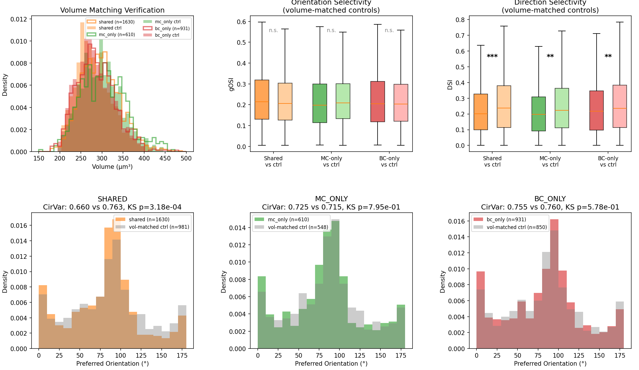 Functional properties of an ITC's disinhibited pyramidal neurons. After validating that the control populations match the volume of the experimental populations (*top-left*), the histograms show disinhibited pyramidal neurons show no significant orientation-selectivity (*top-middle*) compared to control but significantly less direction-selectivity (*top-right*). Of all disinhibited groups, the neurons disinhibited by both BC and MC have a significantly higher orientation coherence compared to control (*bottom-row*).
